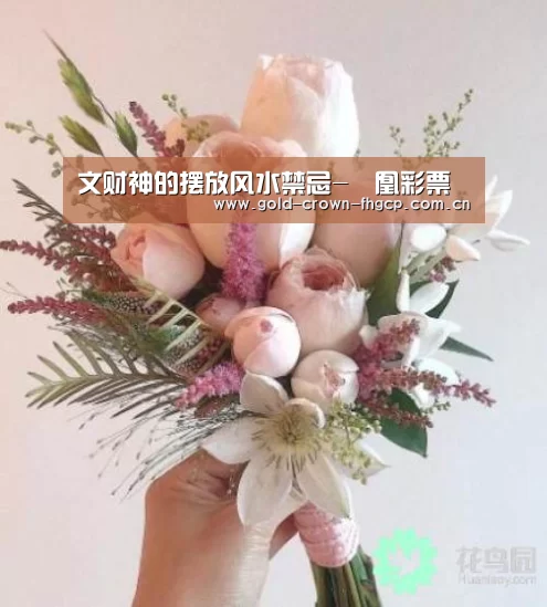 鳯凰彩票